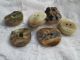 Antique Buttons From Bone Corn Deer/the Are From The Black Forest) Buttons photo 1