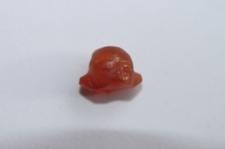 Ancient Egyptian Carnelian Ptah Head Amulet 18th Amarna Period 1350 Bc photo