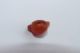 Ancient Egyptian Carnelian Ptah Head Amulet 18th Amarna Period 1350 Bc Egyptian photo 1