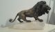 Sculpture Bronze Animal Statue Roaring Lion James Andrey Signed Front Stamped Uncategorized photo 6