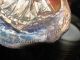Antique Carved & Painted Scrimshaw Style Clam Shell Square Rig Top Sail Schooner Scrimshaws photo 2
