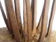 Extremely Rare Ritual Carding Primitive Carding Wool For Ritual Folk Costumes Primitives photo 10