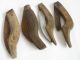 4 Wood Primitive Antique Hand Made Knifes Blade Iron Finding Tool Horticultural Primitives photo 11