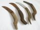 4 Wood Primitive Antique Hand Made Knifes Blade Iron Finding Tool Horticultural Primitives photo 1