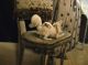Pr Victorian Cut Paper Diorama Shadow Box Framed Antique 3d Collage Cat Dog Vtg Victorian photo 5