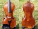Antique Czech Violin By L.  F.  Prokop,  Chrudim 1914,  Expertly Restored By V.  Pilar String photo 9