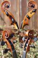 Antique Czech Violin By L.  F.  Prokop,  Chrudim 1914,  Expertly Restored By V.  Pilar String photo 3