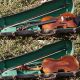 Antique Czech Violin By L.  F.  Prokop,  Chrudim 1914,  Expertly Restored By V.  Pilar String photo 8