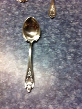 1847 Rogers Bros.  Old Colony 6 Inch Sugar Shell Spoon photo