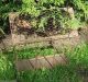 Chicken/rooster Coop/bird House Feeder Box/shelf 4 Greenery Plant/laundry Room Primitives photo 3