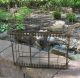 Chicken/rooster Coop/bird House Feeder Box/shelf 4 Greenery Plant/laundry Room Primitives photo 4