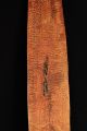 Antique Australian Aboriginal Parrying Shield,  Carved,  Early 20th C,  Central Au. Pacific Islands & Oceania photo 9