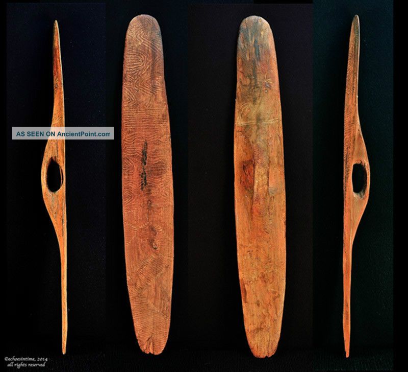 Antique Australian Aboriginal Parrying Shield,  Carved,  Early 20th C,  Central Au. Pacific Islands & Oceania photo