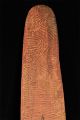 Antique Australian Aboriginal Parrying Shield,  Carved,  Early 20th C,  Central Au. Pacific Islands & Oceania photo 6
