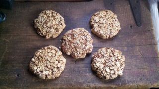 Primitive Homestead Pantry Fake Food Faux Oatmeal Cookies Bowl Filler Ornie photo