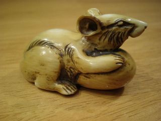 Antique Rat W/egg Authentic Japanese Carved Signed Netsuke photo