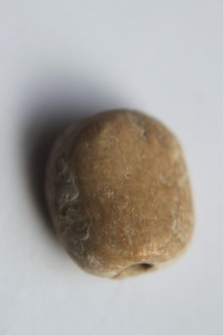 Ancient Egyptian Seal/scaraboid 22nd Dyn photo