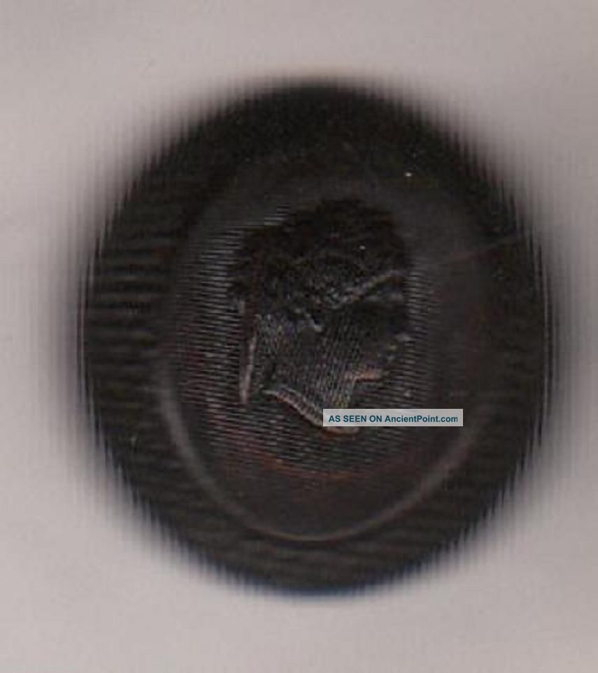Lady Maude Horn W Frame Antique Button Dome Shape Caen B/m Buttons photo