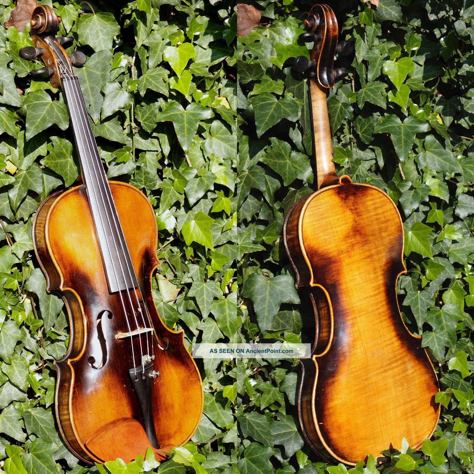 Fine Antique Czech Violin By Richard Gareis,  Bleistadt.  Full & Healthy Tone String photo