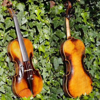 Fine Antique Czech Violin By Richard Gareis,  Bleistadt.  Full & Healthy Tone photo