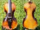 Fine Antique Czech Violin By Richard Gareis,  Bleistadt.  Full & Healthy Tone String photo 1