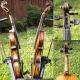 Fine Antique Czech Violin By Richard Gareis,  Bleistadt.  Full & Healthy Tone String photo 2