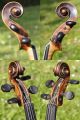 Fine Antique Czech Violin By Richard Gareis,  Bleistadt.  Full & Healthy Tone String photo 3