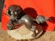 B2482 Exquisite Antique Japanese Bronze Foo Dog Guardian Lion Incense Burner Other photo 1