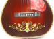 Vintage Maybell Slingerland Parlor Guitar Circa 1930 Nr String photo 2