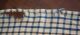 An Early And 19th C New England Large Homespun Wool Blanket Signed Rls Primitives photo 6