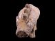 Han Dynasty Clay 3 Horn Rhinoceros Animal Tomb Burial Pottery Figure L Far Eastern photo 1
