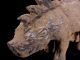 Han Dynasty Clay 3 Horn Rhinoceros Animal Tomb Burial Pottery Figure L Far Eastern photo 2