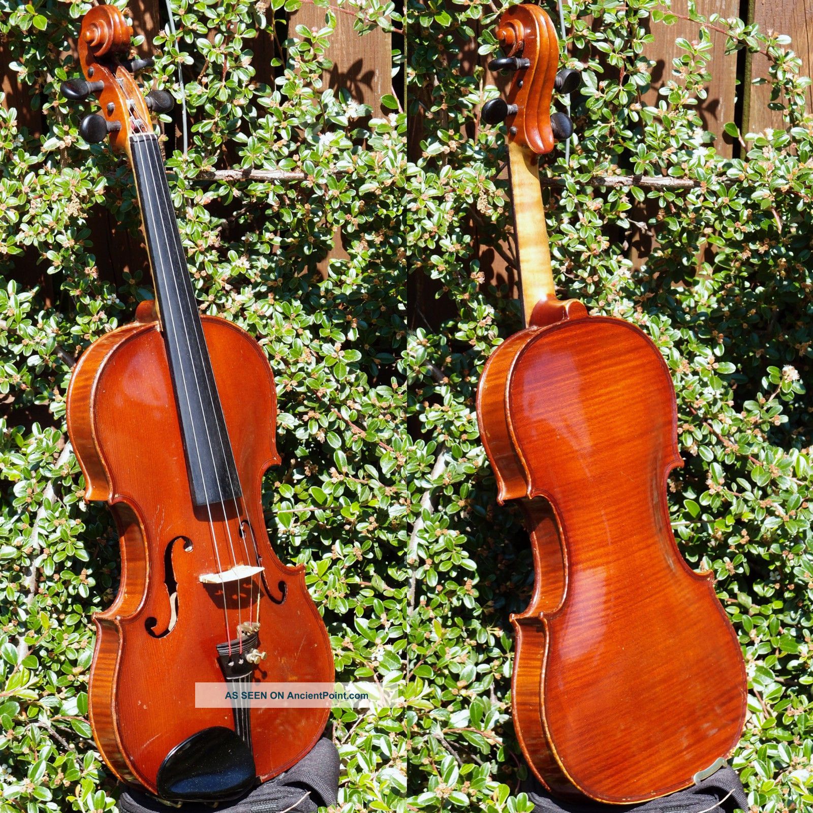 Fine Antique Czech Violin By Ladislav F.  Prokop,  Chrudim,  1929.  Powerful Tone String photo