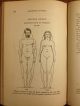 Everybody ' S Own Physician C W Gleason Antique 1884 Victorian Health Illustrated Other photo 10