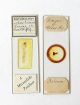 Pair Early Insect Microscope Slides: Whole Butterfly Lava & Tongue Of Blowfly Other photo 1