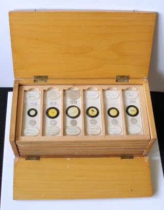 Cased Collection (65) Darlaston Microscope Slides: Insect Parts & Botany photo