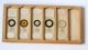 Cased Collection (65) Darlaston Microscope Slides: Insect Parts & Botany Other photo 6