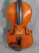 Antique German Guarneri 4/4 Soloist Master Violin Fiddle Rosewood Tiger Back Rar String photo 1