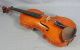Antique German Guarneri 4/4 Soloist Master Violin Fiddle Rosewood Tiger Back Rar String photo 2