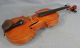 Antique German Guarneri 4/4 Soloist Master Violin Fiddle Rosewood Tiger Back Rar String photo 3