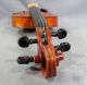 Antique German Guarneri 4/4 Soloist Master Violin Fiddle Rosewood Tiger Back Rar String photo 7