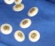 9 Medium Antique/vintage Mother Of Pearl & Silver Inlay - Shell Buttons - 1/2 