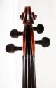 Italian Master Violin Antique 100 Year Old Perfect 4/4 Size (fiddle,  Geige) String photo 3