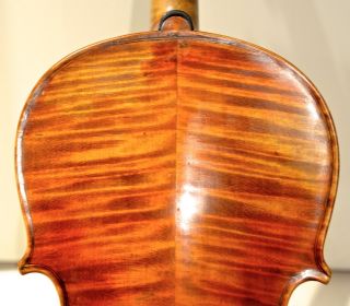 Old Italian Violin 18th Century School Of Thomas Balestrieri Rare Nr Fine Geige photo