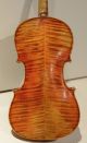Old Italian Violin 18th Century School Of Thomas Balestrieri Rare Nr Fine Geige String photo 2