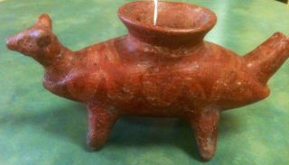 Inca Treasures Pre Columbian Pottery Animal Effigy Vessel Artifact Art Coa photo