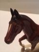 Vintage Germany Fine Porcelain Horse Signed Figurines photo 4