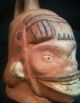 Inca Treasures Pre Columbian Pottery Moche Skull Bottle Artifact Vessel Art Coa The Americas photo 5