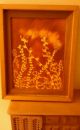 Signed Wood Pyrography Painting Antique Wood Frame Other photo 1