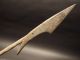 Antique Maritime Whaling Wrought Iron Toggle Iron Harpoon Fishing Spear 19th C Primitives photo 3
